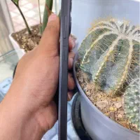 poc  c85|موبایل|یاسوج, |دیوار