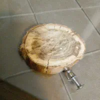 نشیمن عروس هلندی