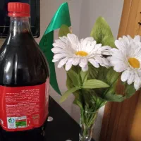 رب انار اوگانیک