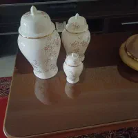 جینجر جار