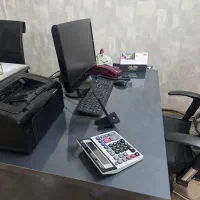 کمک حسابدار خانم آشنا به هلو و اکسل