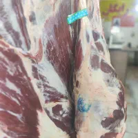 گوشت مرغ ماهی با چک صیادی