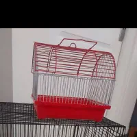 قفس