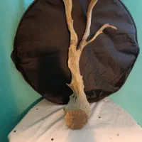 چوب آبنوس آکواریوم