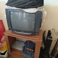 تلویزیون