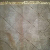 جلد پشتی