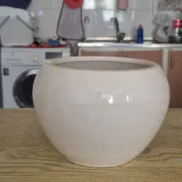 انواع گلدان و گل