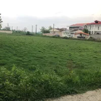 زمین مسکونی بکر در رشت
