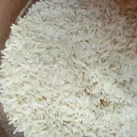 برنج علی کاظمی