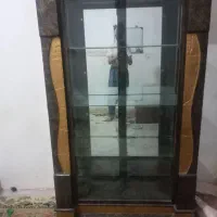 ویترین ، پاتریشن