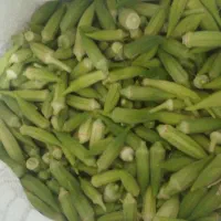 ب ا م یه تازه ریز دره شهر