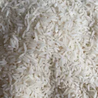 برنج طارم هاشمی