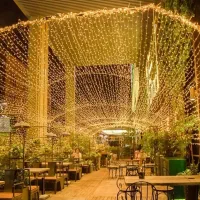 ریسه سوزنی ۵۰ متری LED / دیزاین کافه و کافی شاپ