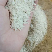 برنج طارم محلی