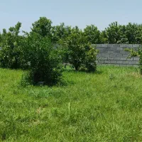 باغچه 700متری چهار دیواری مناسب سرمایه گذاری