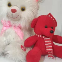 عروسک گربه و خرس
