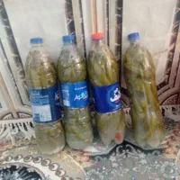 خیار شور