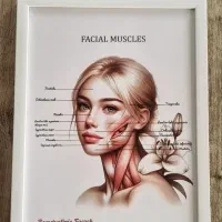آموزش تزریقات زیبایی