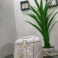 سرخ کن نو نو مارک سونی