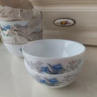 پیاله ارکوپال