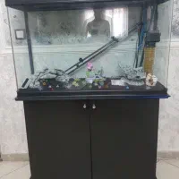 آکواریوم شیشه خم