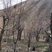 زمین در روستای تالون حومه امام زاده داود|فروش زمین و ملک کلنگی|تهران, کن|دیوار