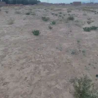 زمین فروشی بعد دانشگاه پیام نور