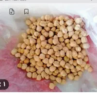 نخود مخصوص فلافل