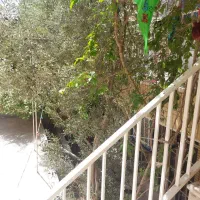 اجاره ویلایی زیرزمین باجک۲