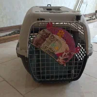باکس حمل سگ