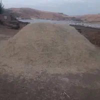 علف گزره