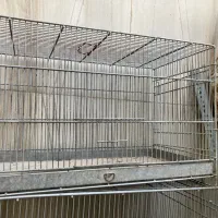 قفس پرتده