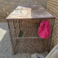 قفس آهنی