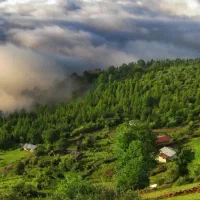 زمین