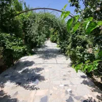 باغ ویلا با درختان آجیلی