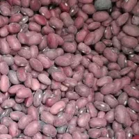 لوبیا قرمز