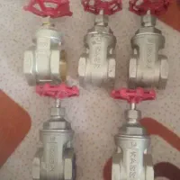شیر برنجی