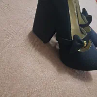 کفش مجلسی