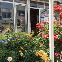 فروشنده آشنا به خدمات کامپیوتری و اینترنتی