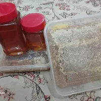 عسل کردستان