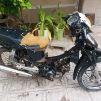 کش 125 متری ورزشی کمک بندی سالم بندر گناوه
