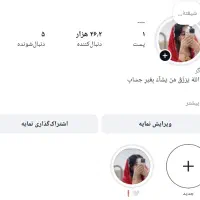 پیچ انستا فروشی 26هزار