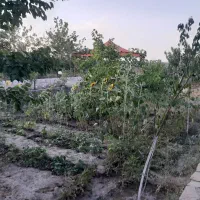 960 متر زمین ویرانی ۳