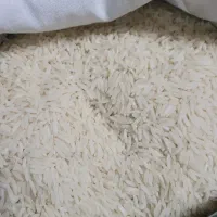 )برنج هاشمی دانه بلنداعلا محلی خوش عطر و پخت