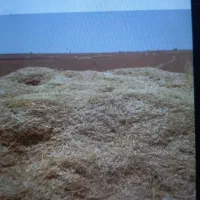 فروش کاه