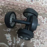 دمبل