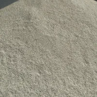 فروش گلرنگ بذری