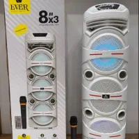 اسپیکر شارژی قابل حمل اور مدل EVER-1133