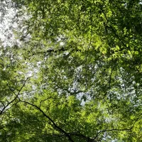 کوهنوردی طبیعت‌گردی پیاده روی