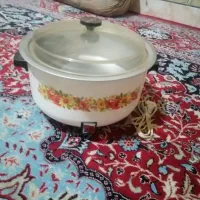 ارامپزبرقی